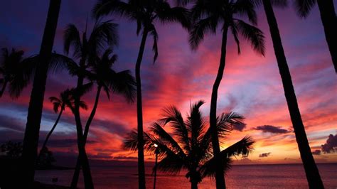 Could Hawaii Become A Same Sex Wedding Destination Wjct News
