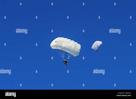 Parachutists 2015flight Under The Parachute Stock Photo Alamy