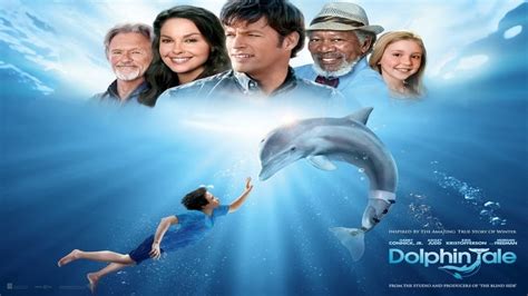 Dolphin Tale Collection 2011 2014 — The Movie Database Tmdb