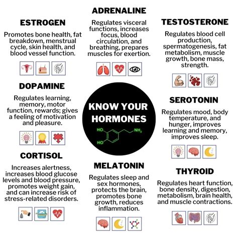 Know Your Hormones Rstudents