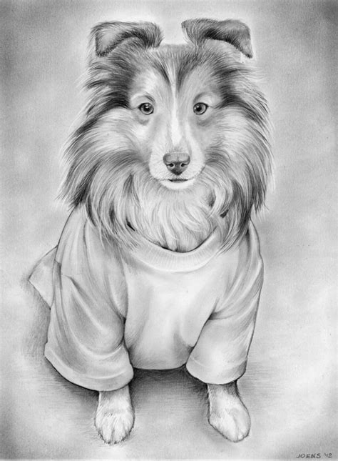 Sheltie Paintings Search Result At