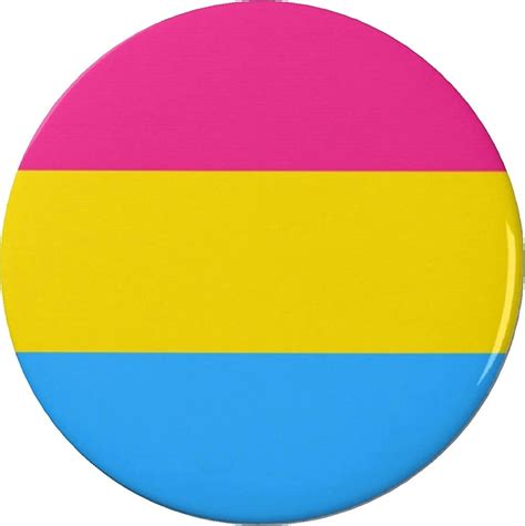 Pansexual Flag Symbol Pinback Button Pin Support Awareness