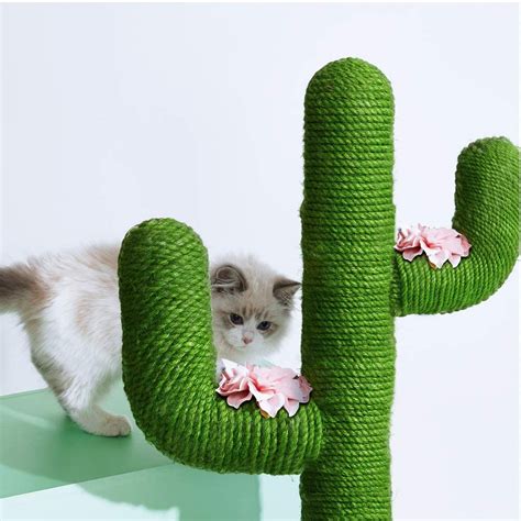 Less than 1 meter applicable stage: NEW 41 IN TALL CACTUS CAT TREE SCRATCHING POST SISAL ROPE ...