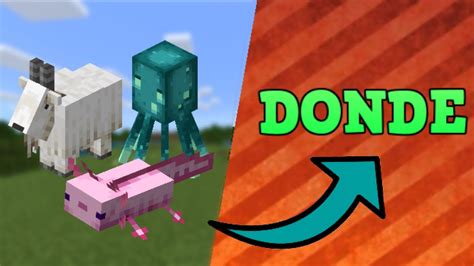 Las Habilidades Secretas Del Axolotl Ajolote C2b7 Minecraft 117 Cave