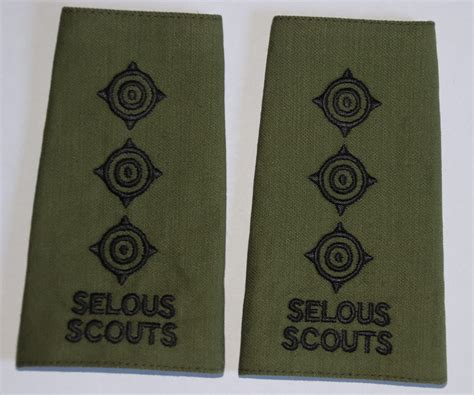 Rhodesian Army Selous Scouts Captain Rank Slide Epaulettes Ab Insignia