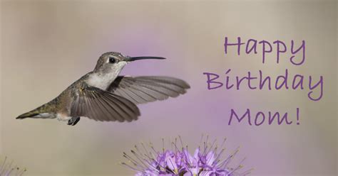 You can add graphics and illustrations too. Happy Birthday Mom! - Mia McPherson's On The Wing Photography