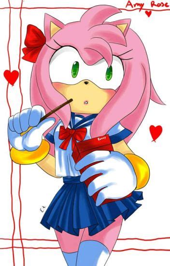 Amy Rose X Hedgehog Male Reader Akiraakiyama4776700 Wattpad