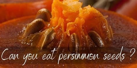 Some varieties of persimmons have an oval flattened shape like an orange tomato. Are Persimmon Seeds Really Edible? Find Out Here! - Foodiosity