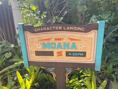 Photos Video Moana Meet And Greet Debuts At Disneys Animal Kingdom