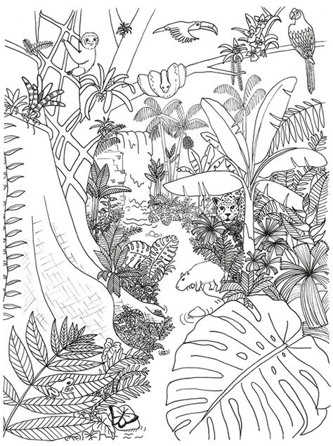 On july 3, 2019 june 7, 2021 by coloring.rocks! Rainforest Animals and Plants Coloring Page | Rainforest ...