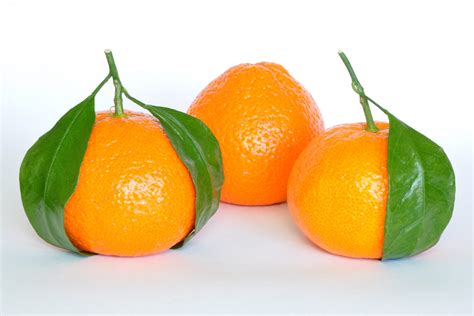 24 Fun And Fascinating Facts About The Mandarin Orange Tons Of Facts