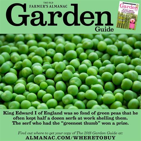 Where To Buy The Garden Guide Old Farmers Almanac
