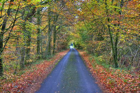 Great Autumn Colours Ashcombe Cottages