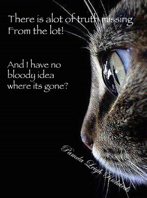 Quotes About Cats Eyes. QuotesGram