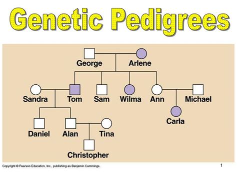 Pedigree Charts With Genotypes