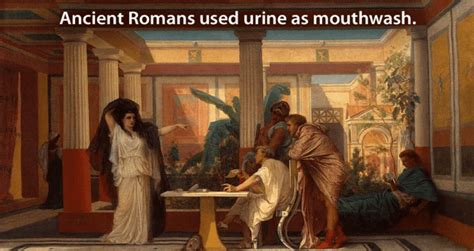 33 Ancient History Facts You Definitely Didnt Learn In School