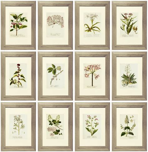 Die besten 25+ Herbarium vorlage Ideen auf Pinterest ...