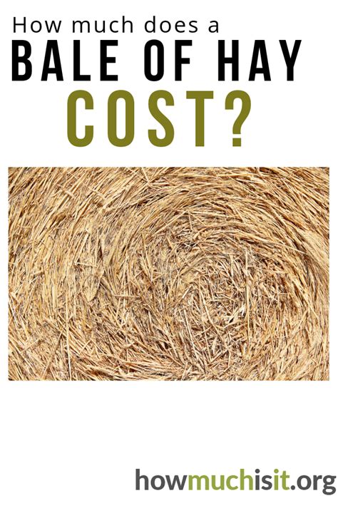 How Much Does A Bale Of Hay Cost See What Others Are Paying Via Our
