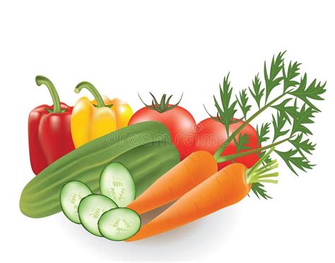 Vegetables Set Pepper Tomato Cucumber And Carrot Stock Vector