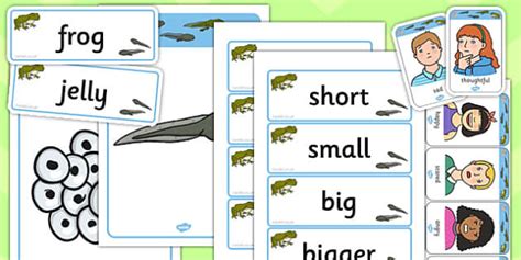 Frog Life Cycle Mind Map Starter Resource Pack Life Cycle
