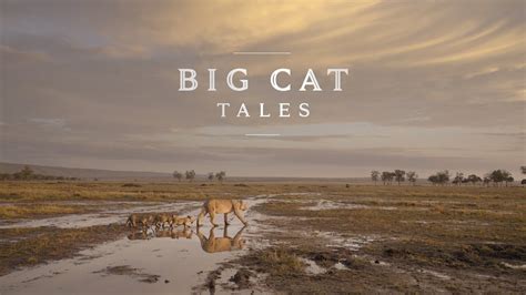 Big Cat Tales Season 1 Trailer Youtube