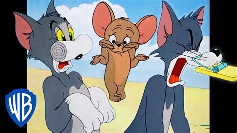 Tom Et Jerry En Français Tom Lobtient 💥 Wb Kids Youtube