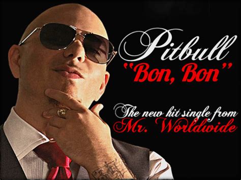 Pitbull Pitbull Rapper Wallpaper 32911118 Fanpop
