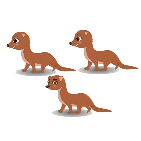 Cartoon Of Mongooses Illustrations Royalty Free Vector Graphics And Clip