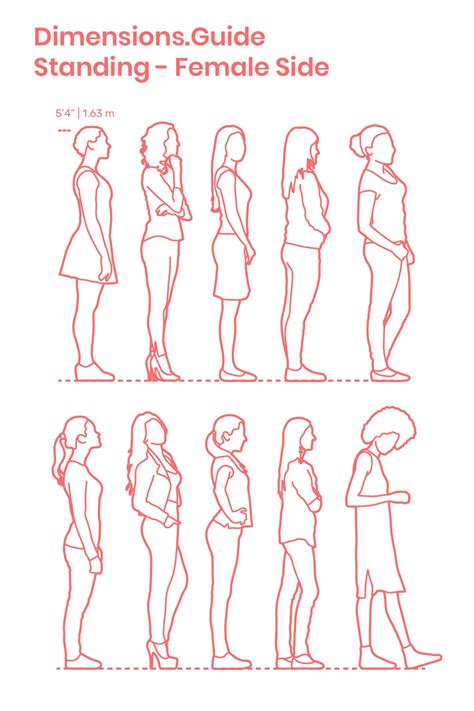 Standing Female Side Drawing People Human Figure Sketches Posture