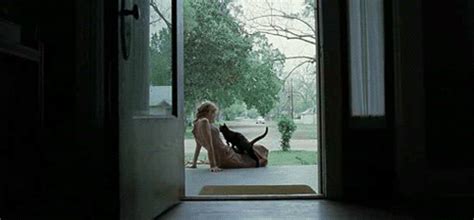 Allows various editing options like the loop, stretch, pan, reverse, and much more. Tree Of Life Movie Quotes. QuotesGram