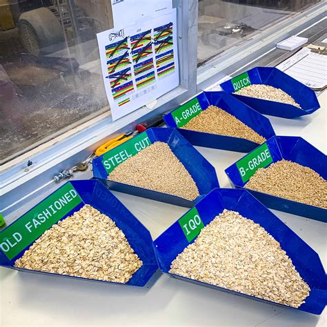 You can tell when some foods go bad by looking for changes in texture, scent, and color. Where Does Oatmeal Come From? Rolled Oats vs. Quick Oats