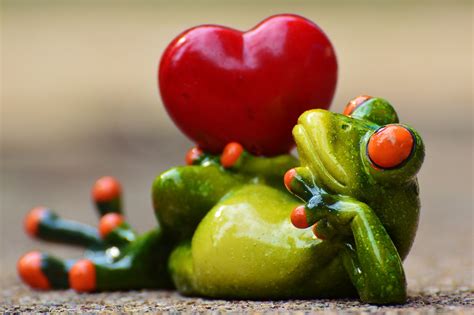 Love Valentines Day Pose Free Photo On Pixabay