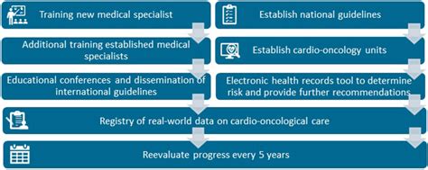 Overview Of Recommendations To Improve Cardio Oncology Care Download