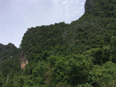 Free Images Tree Nature Tube Mountain Range Cliff Jungle