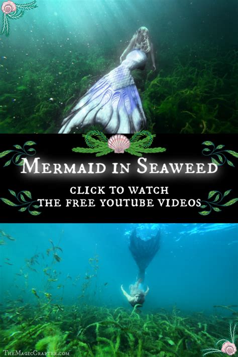 Mermaid Swimming In Seaweed With Fish New 4k Underwater Video Of