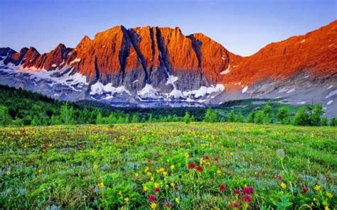 Free Download Beautiful Mountain Meadow Wallpaper Nature Wallpapers