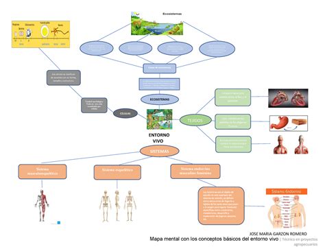 Arriba 49 Imagen Mapa Mental De Los Conceptos Basicos De La Biologia