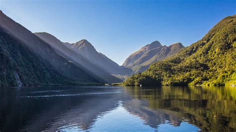 Parque Nacional De Fiordland Cruzeiros E Passeios De Barco 2021