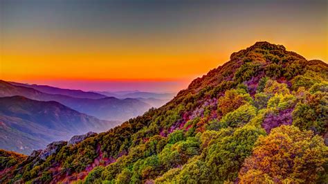 Download Sequoia National Park Sunset Hill Forest Horizon Nature