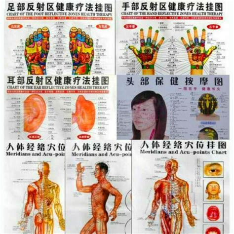 Whole Body English Acupuncture Meridian Acupressure Points Poster Chart Wall Map Ebay
