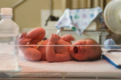 4 Different Types Of Baby Delivery Methods You Should Know Mumslove
