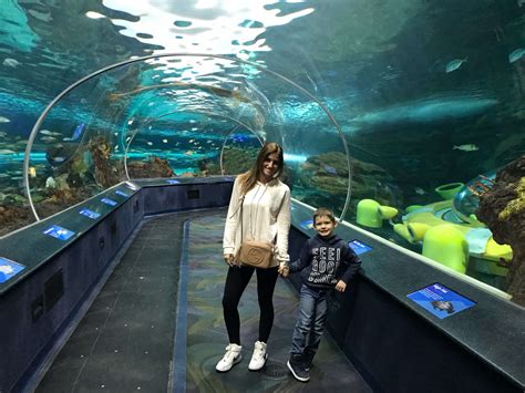 Ripleys Aquarium Of Canada Sparkleshinylove