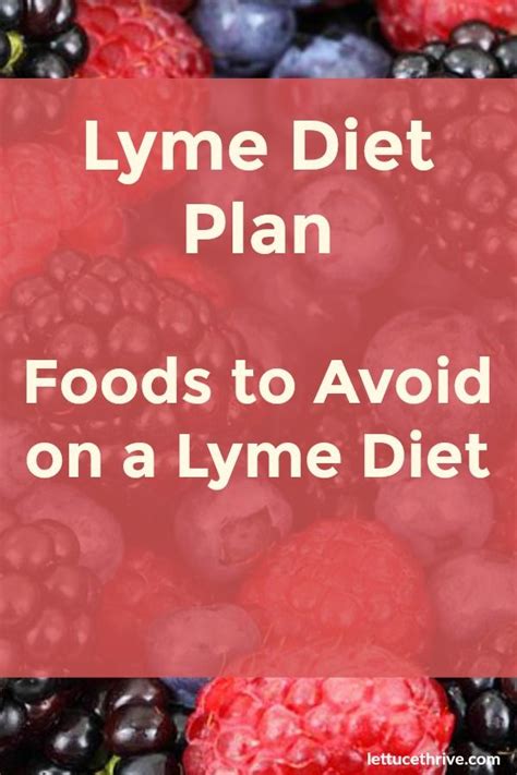 The Lyme Disease Diet Food Lists Which Foods To Avoid And Which To