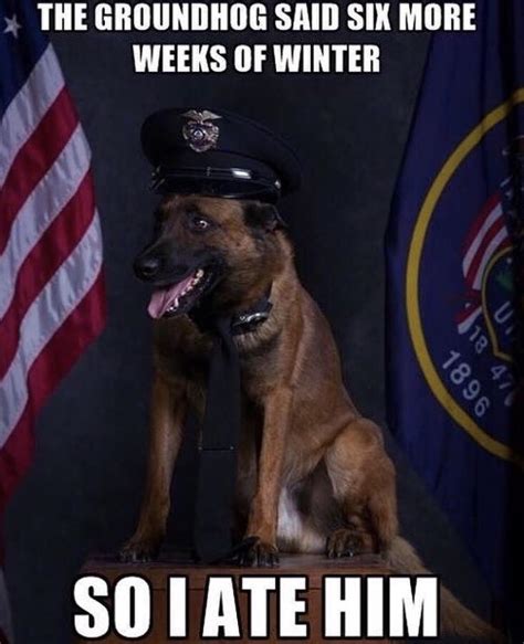 1124 Best K9 Images On Pholder Dogswithjobs Protect And Serve And Aww