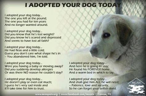 I Adopted Your Dog Poem Rescue Dog Quotes Rescue Dogs Animal Rescue