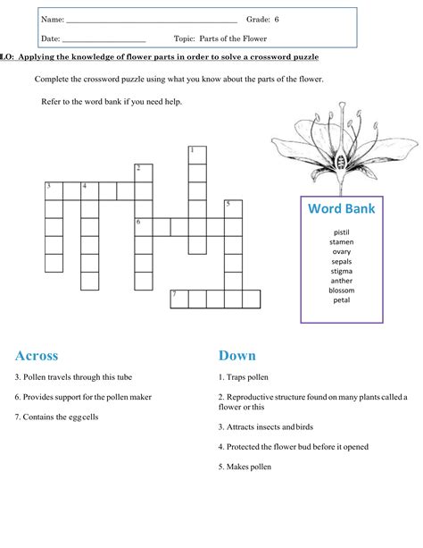 Male Flower Part Crossword Puzzle Clue Best Flower Site