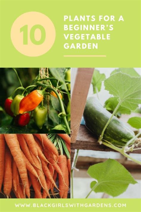 10 Easy To Grow Vegetables For Beginners Edible Garden