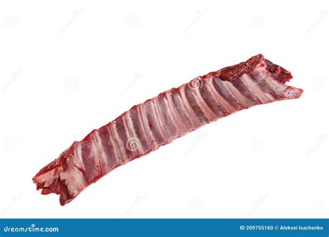 Raw Fresh Deer Ribs Stock Photo Image Of Bone Meat 209755160