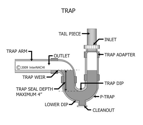 Double space saving kitchen sink drain waste trap 1 2 x 40mm dish washer input. Trap - Inspection Gallery - InterNACHI®