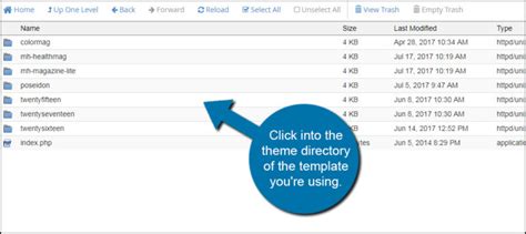 How To View And Edit Wordpress Theme Files Greengeeks